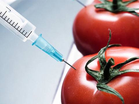 GMOs still concern Azerbaijani consumers