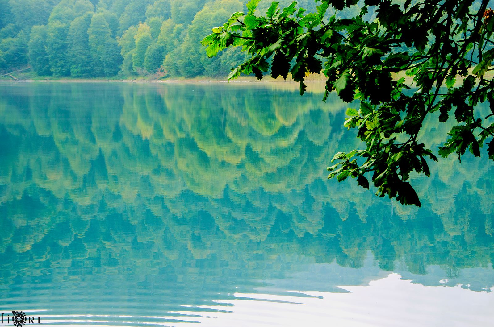 Azerbaijan fights against pollution in Goygol National Park