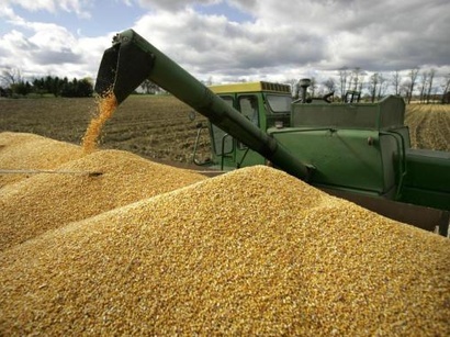 Azerbaijan produces 2.4 mln tons of grain