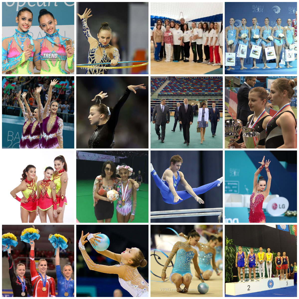 National gymnasts shine on world stage in 2014
