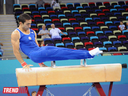Joint tournament of gymnastics, acrobatics, tumbling wraps up