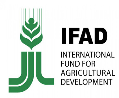 Azerbaijan, IFAD eye cooperation prospects