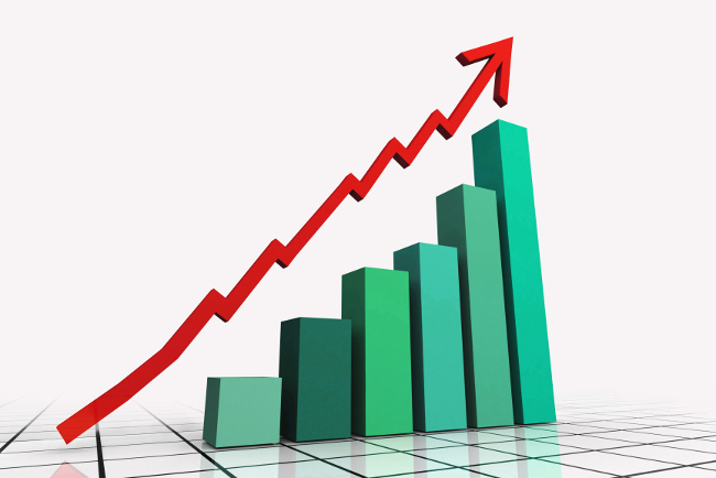 Foreign direct investments in Georgia up