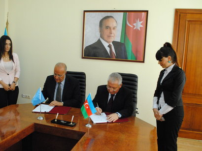 Azerbaijan, FAO to produce potato seed