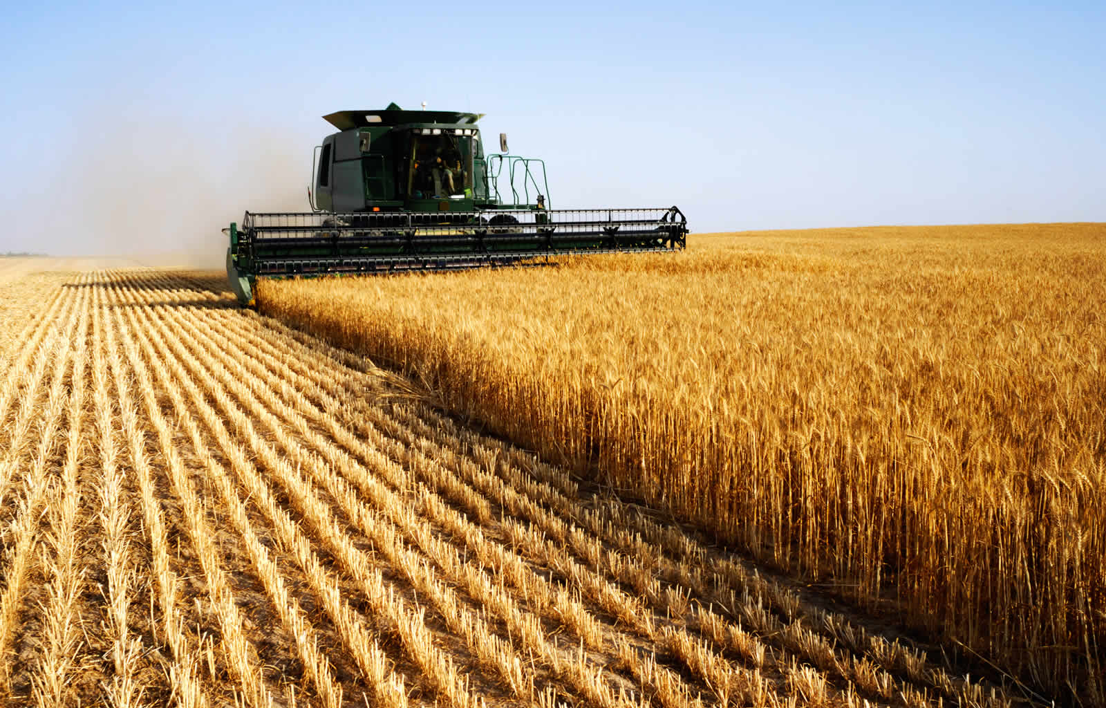 Uzbekistan to purchase equipment for country's agricultural needs