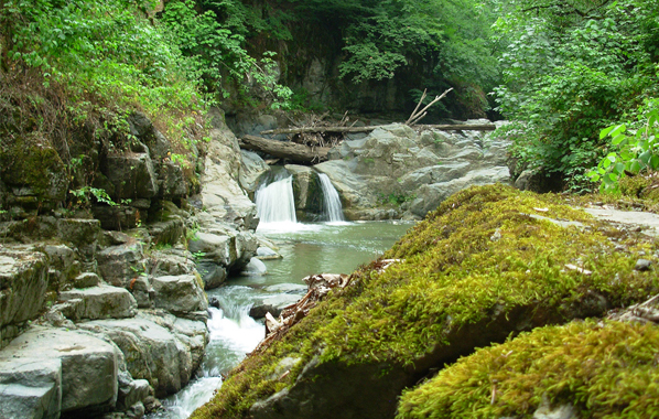 Int’l Scout Camp “Wonderland 2014 Azerbaijan” to open in Lerik