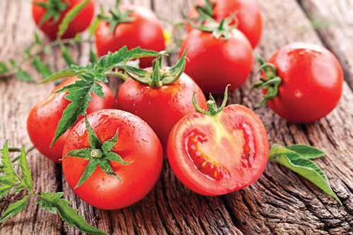 Five-fold rise recorded in Azerbaijan’s tomato supply to Russia