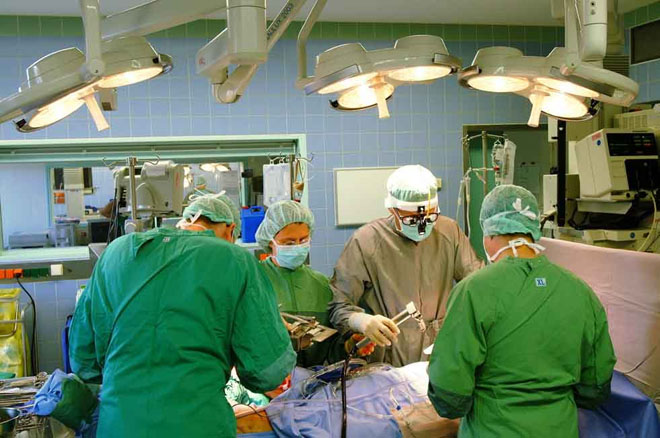 Parliament to legalize stem cells transplantation