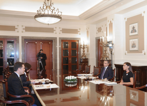 First Lady of Azerbaijan holds several meetings
