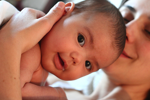 Artificial insemination may be free for some in Azerbaijan