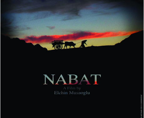 Nabat wins award in int'l film festival in Turkey