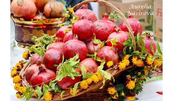 Goychay marks Day of Pomegranate