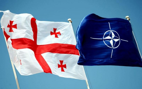 Georgia to make all efforts to get closer to NATO