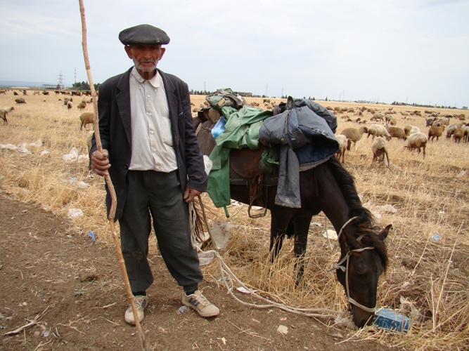 Azerbaijani director's film wins at Italy festival