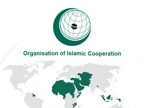OIC condemns "elections" in Nagorno-Karabakh as illegal