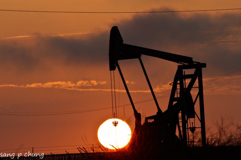 Oil prices again below $50 a barrel