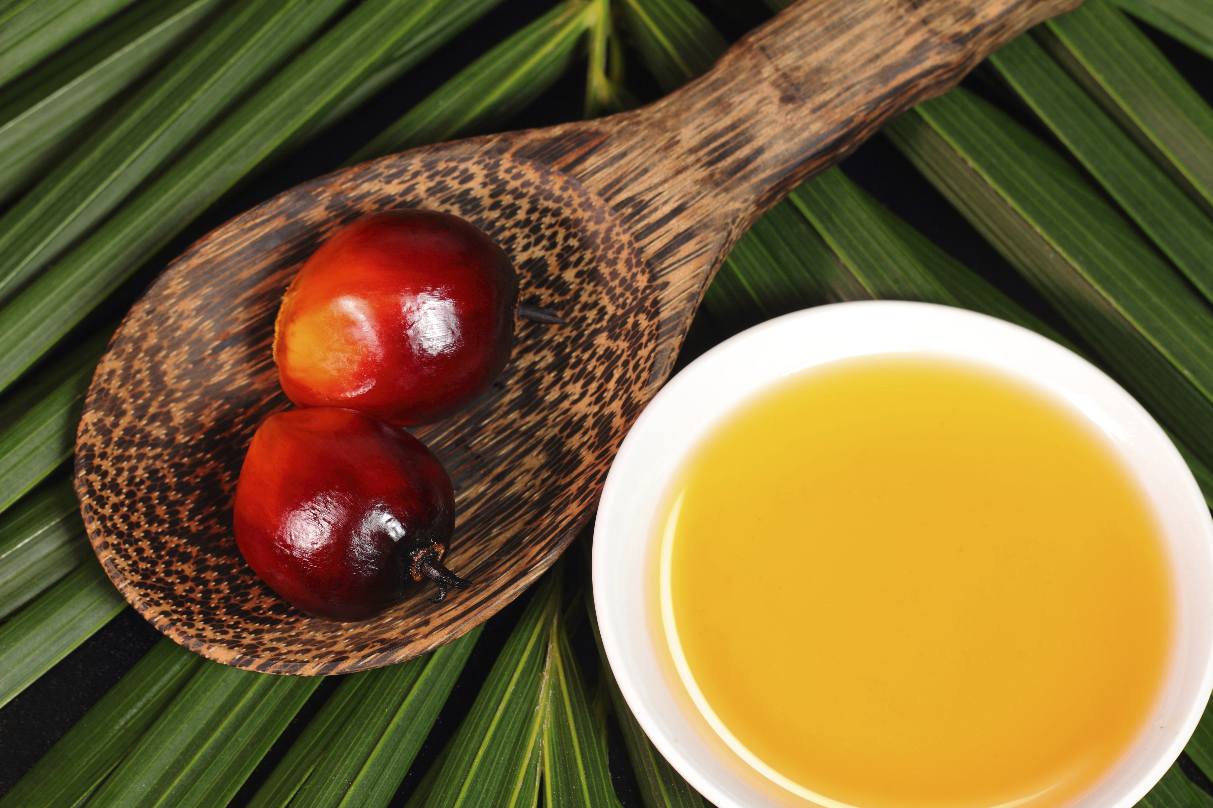 Palm oil advances to three-month high as demand seen increasing