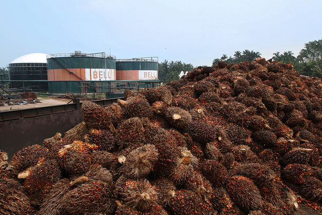 Palm oil, rubber surge as floods in Southeast Asia hurt supplies