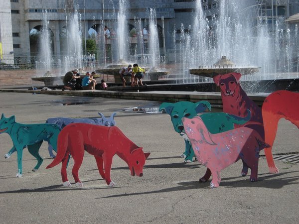 Installation about homeless animals to open at Baku seaside boulevard