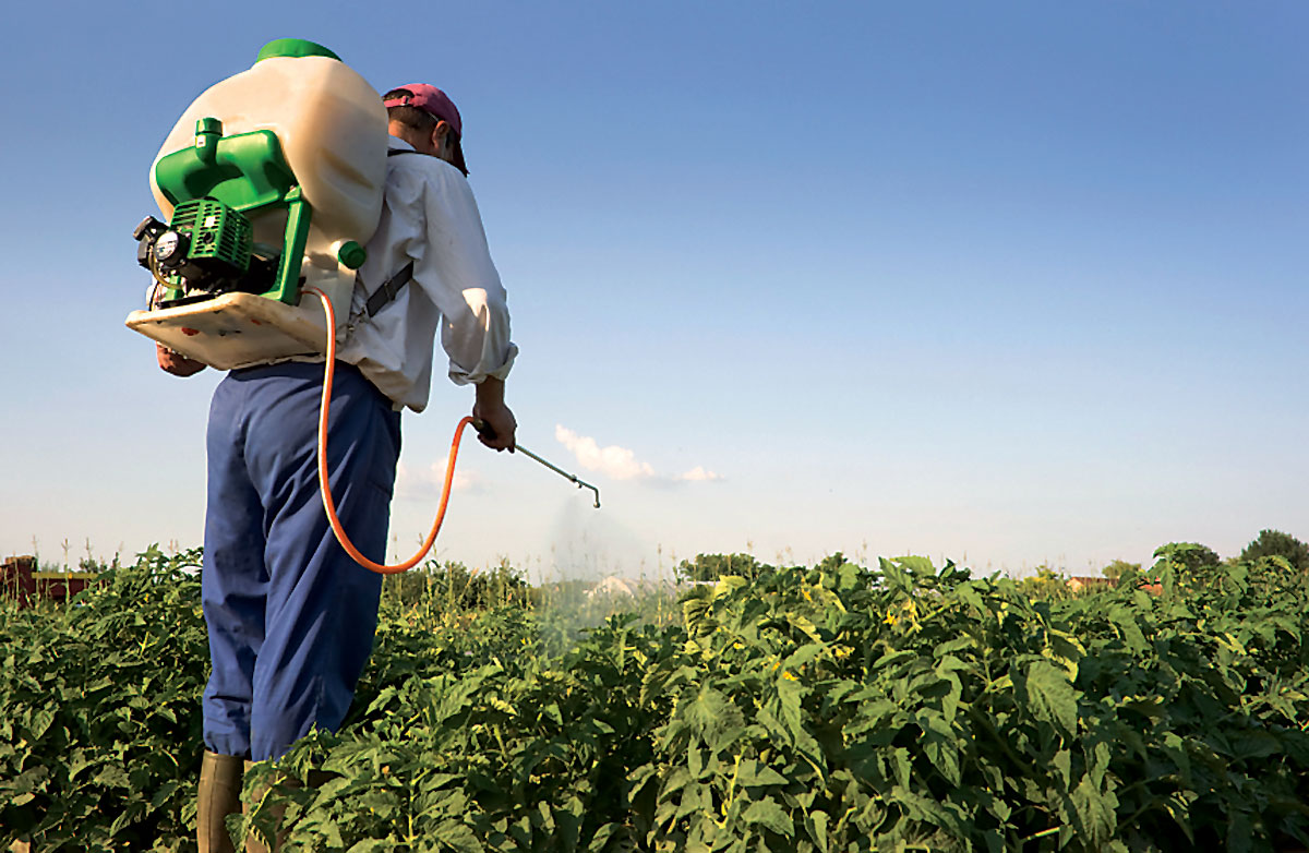 Should we avoid pesticides?