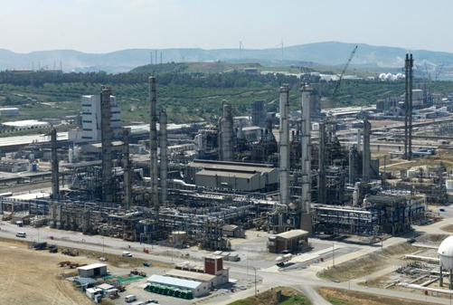 Turkey needs four more petrochemical complexes similar to Petkim, SOCAR Turkey Energy exec says