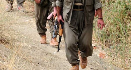 Over 300 PKK militants eliminated in Turkey