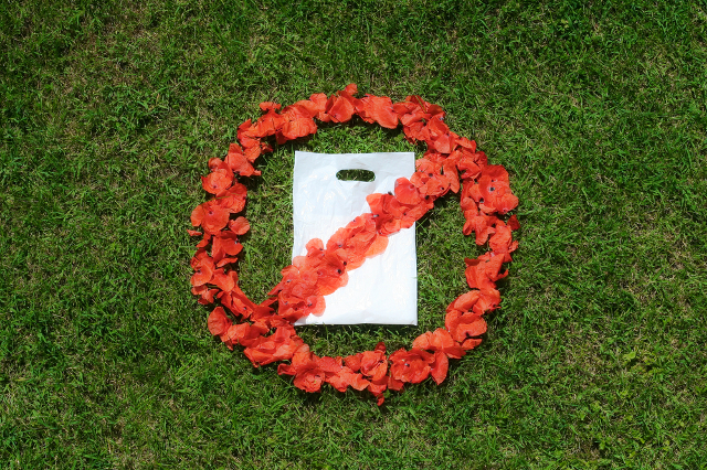 Nature needs  not plastic bags