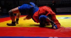 Azerbaijan’s sambo fighters win two European medals