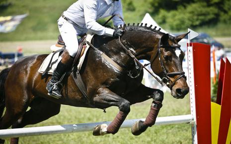 Baku to host CSI3* Heydar Aliyev Cup