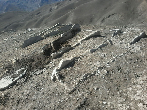 Stone box graves found in Azerbaijan