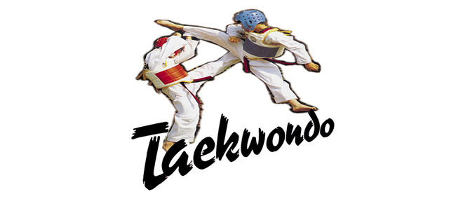 Young Azerbaijani taekwondo fighters claim five medals in Austria