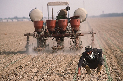 FAO invest $638,000 in Tajikistan's agriculture