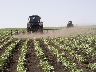 Area under crops in Kazakhstan increases