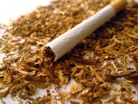 Azerbaijan sees decrease in tobacco smuggling