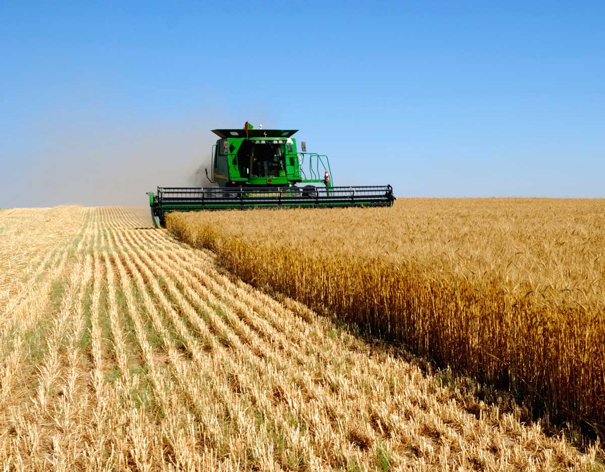 New brand of agricultural machinery to appear in Uzbekistan