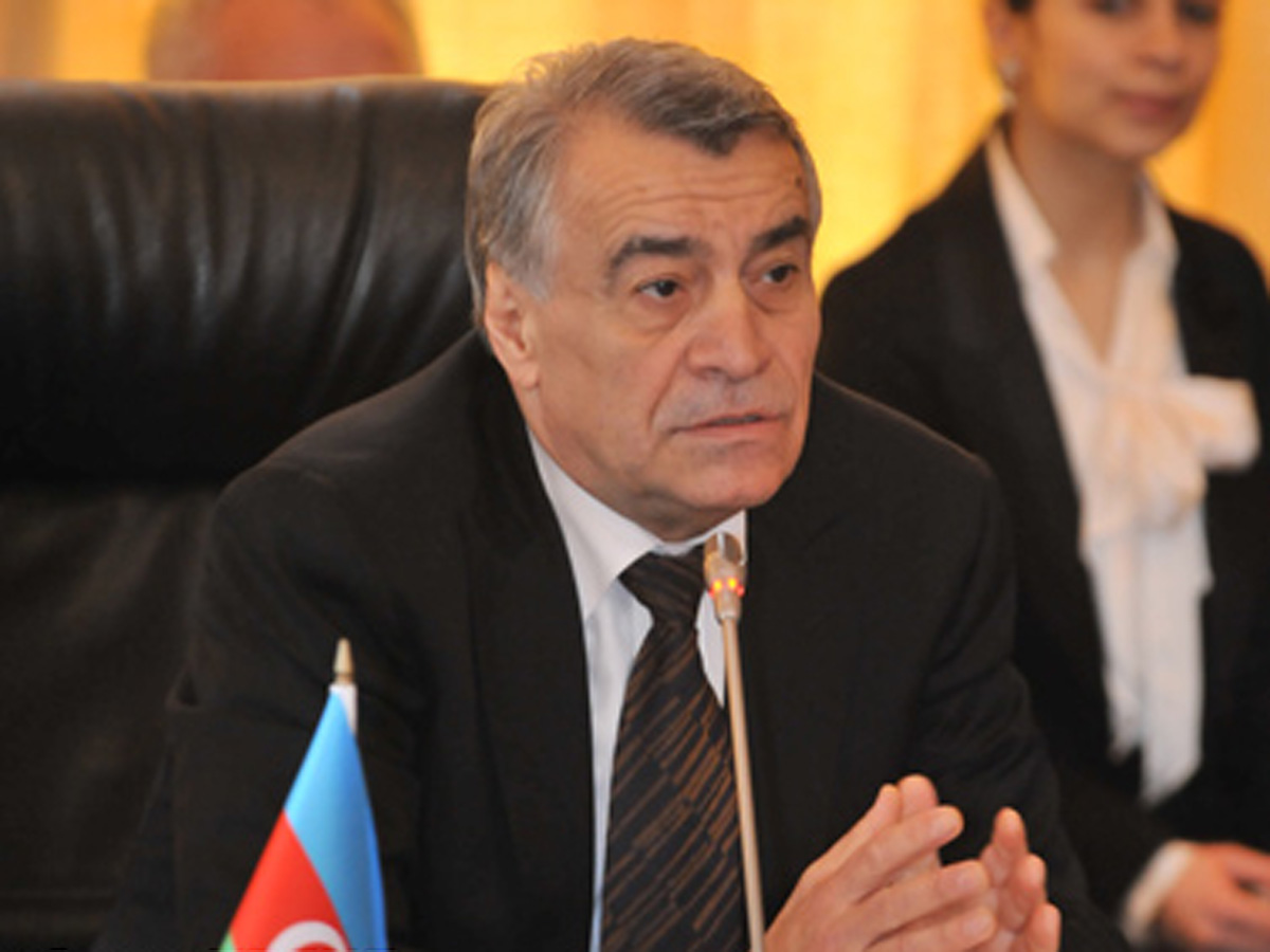 Azerbaijan’s energy minister not to attend OPEC meeting