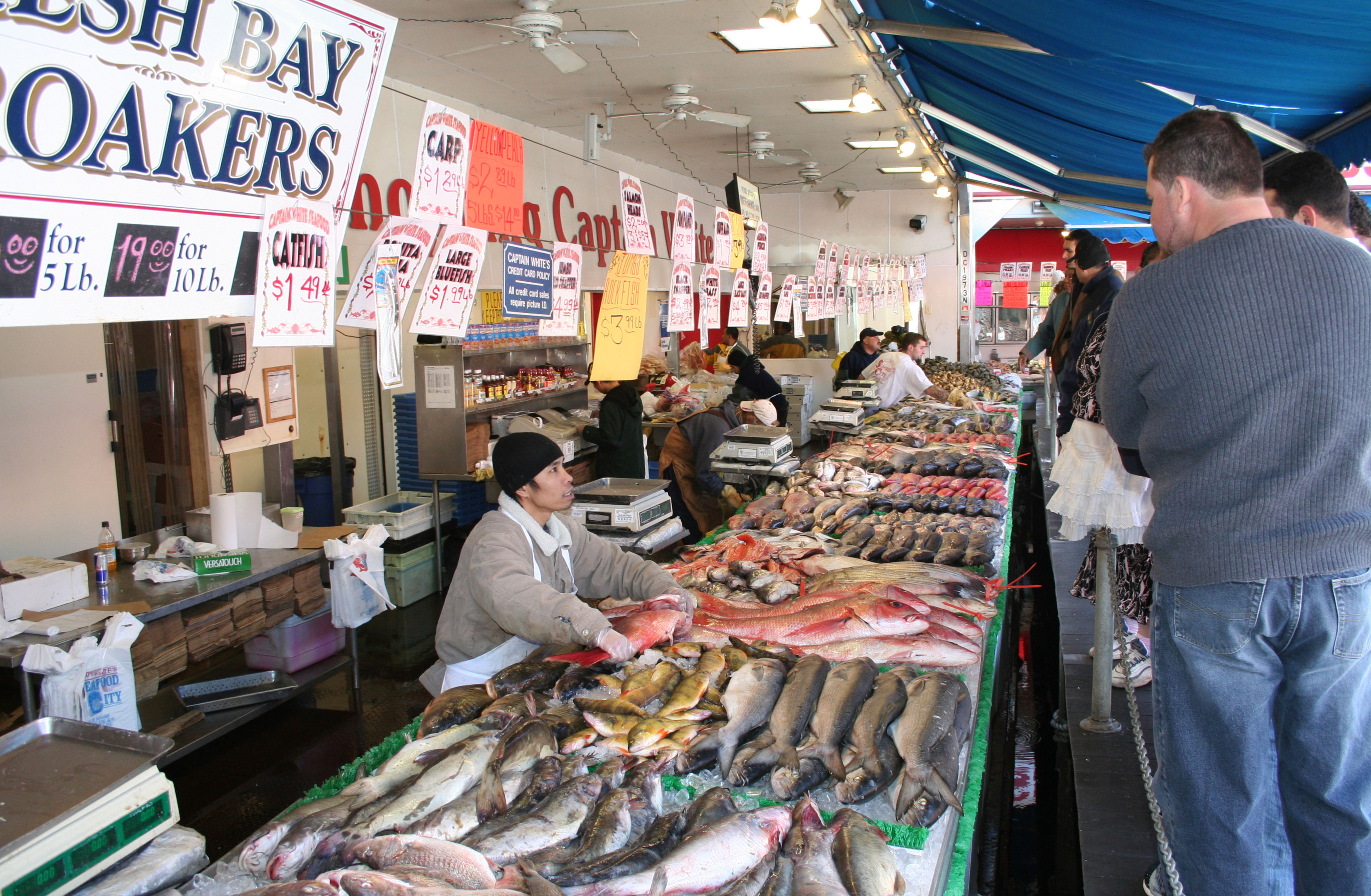 Baku in need of fish market