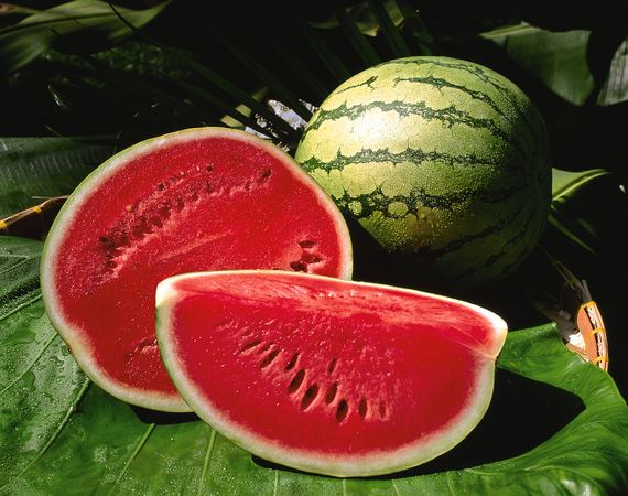 Watermelon: favorite summer fruit