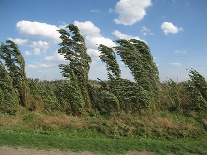 Strong winds to reign in Baku till evening