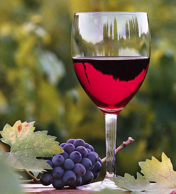 Research proves long history of Azerbaijani winemaking